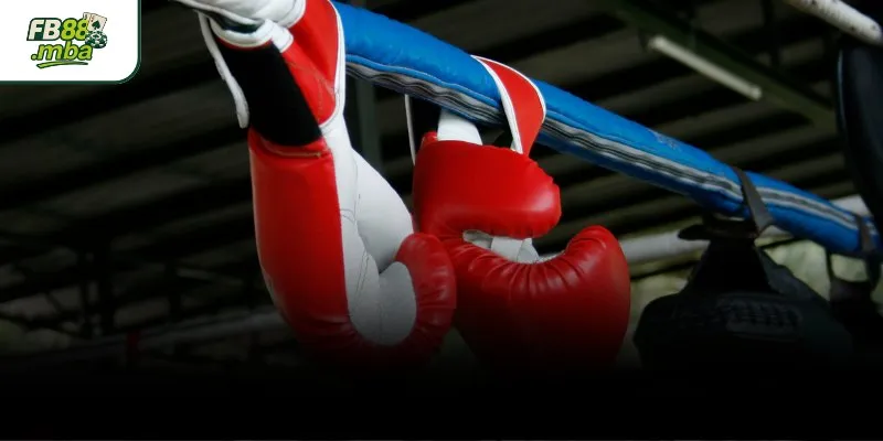 ทำความรู้จักกับการแทงมวยออนไลน์