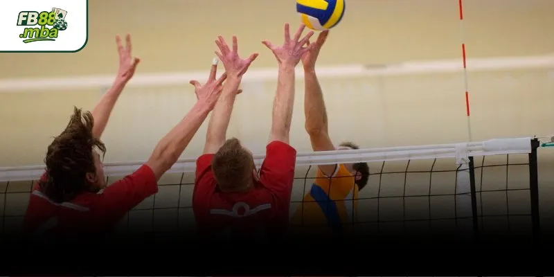 เทคนิคการวิเคราะห์และสูตรแทงวอลเลย์บอลให้ได้กำไร